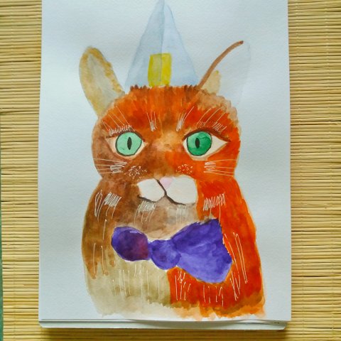 котик