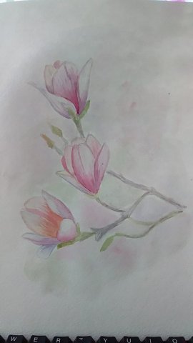 магнолия (марафон весенняя нежность)